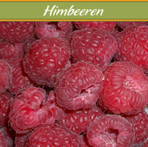 himbeeren
