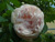 Cymbeline