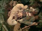 Holzkrippe 