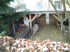 Stallkrippe 