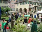Laupheim 