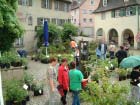 Laupheim 