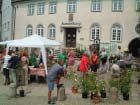 Laupheim 