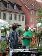 Laupheim 