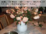 AUSlea - Englische Rosen
