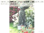 Maria Lisa - Kletterrosen und Rambler