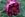 James Veitch - 