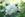 Macmillan Nurse - 