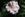 Narrow Water - 