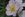 Smarty - 