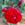 Alexander McKenzie - 