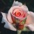 Anne Watkins - 