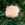 Antoine Rivoire - 