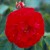 Attleborough - 