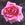 Augustine Halem - 