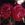 Baron de Bonstetten - 