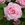 Baroness Rothschild - 