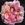 Baronne Henriette de Snoy - 