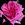 Bliss - 
