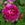 Boule de Nanteuil - 