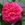 Brennus - 