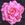 Briarcliff - 