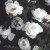 Burnet Double White - 