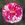 Camaieux - 