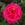Caprice - 