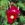 Carmen - 