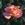 Chicago Peace - 