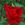 Christopher Stone - 