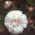 Comtesse de Murinais - 