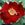 Crimson Conquest - 