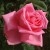 Dame Edith Helen - 