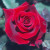 Deep Secret - 