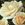 Desert Island - 