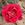 Desmond Tutu - 