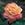 Dorothy Wilson - 