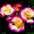 Double Delight - 