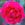 Dr. Andry - 