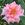 First Love - 
