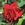 Fragrant Vision - 