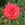 George Vancouver - 