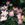 Glory of Edzell - 