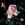 Grace de Monaco - 
