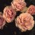Greensleeves - 