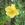 Helen Knight - 