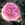 Home Sweet Home Climber - 
