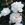 Irene of Denmark - 